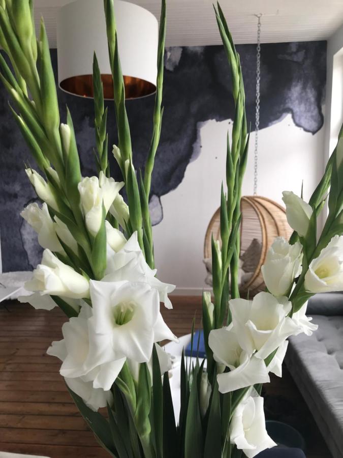 Chambre D 'Hotes Chez Manon Et Hugo เบทูน ภายนอก รูปภาพ